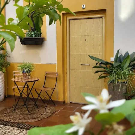 Casa Naranjo Appartamento Cordova