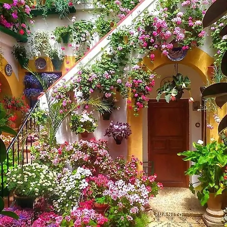 Appartamento Casa Naranjo Cordova